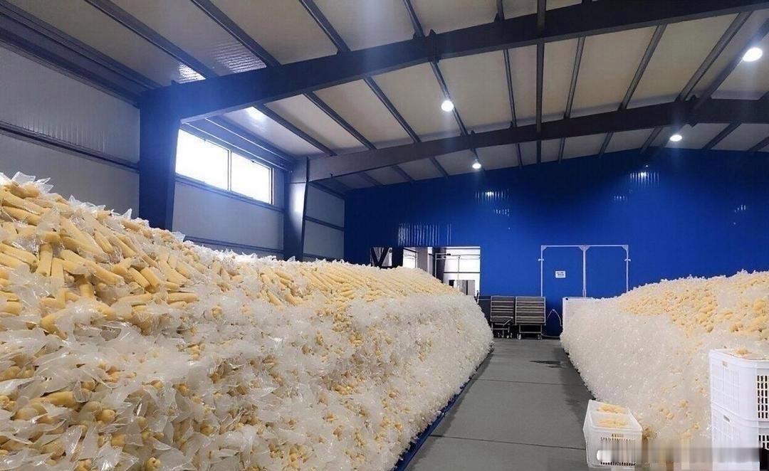 我的天啊，看到这，大家还敢买吗