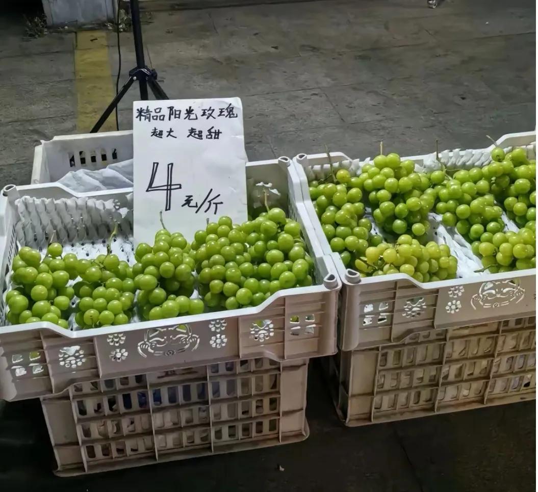 “阳光玫瑰”葡萄以前卖的好贵！十几块、二十几块都有，现在沦落到几乎是无人问津，为