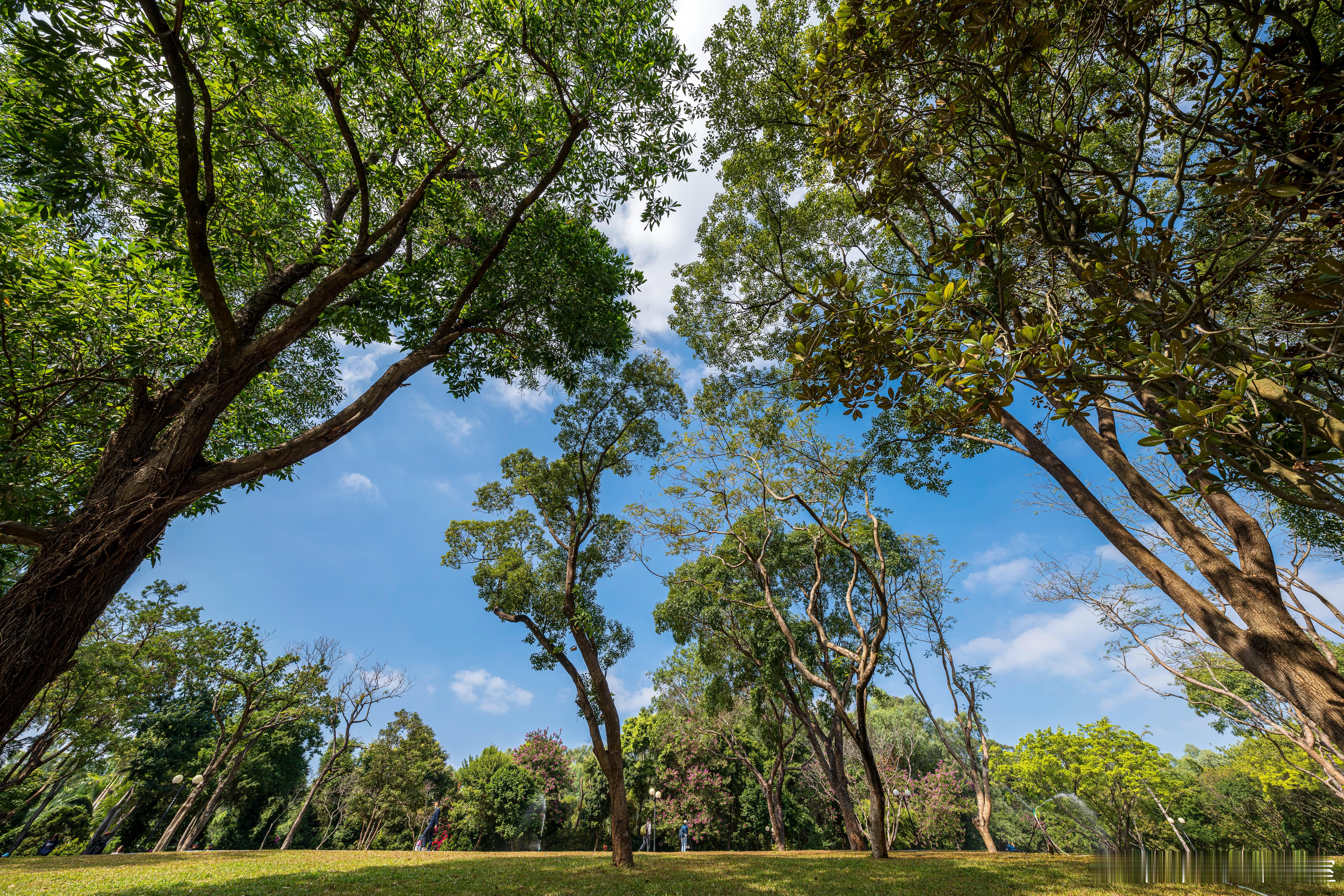 心智的红利主要来自心智体验的系统性与专业化。心智的磨砺达不到高度，创业者是很难驾