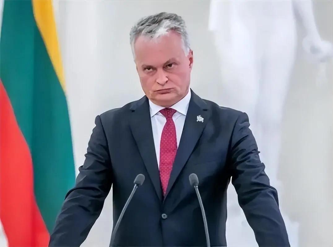 立陶宛最后的结果，也只能等到一片寂寞。25日，立陶宛议会外事委员会主席莫图扎斯