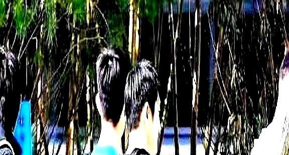樊振东走了去德国打球了结果你猜怎么着？人家德国人专门给他搞了个黑科技训练馆