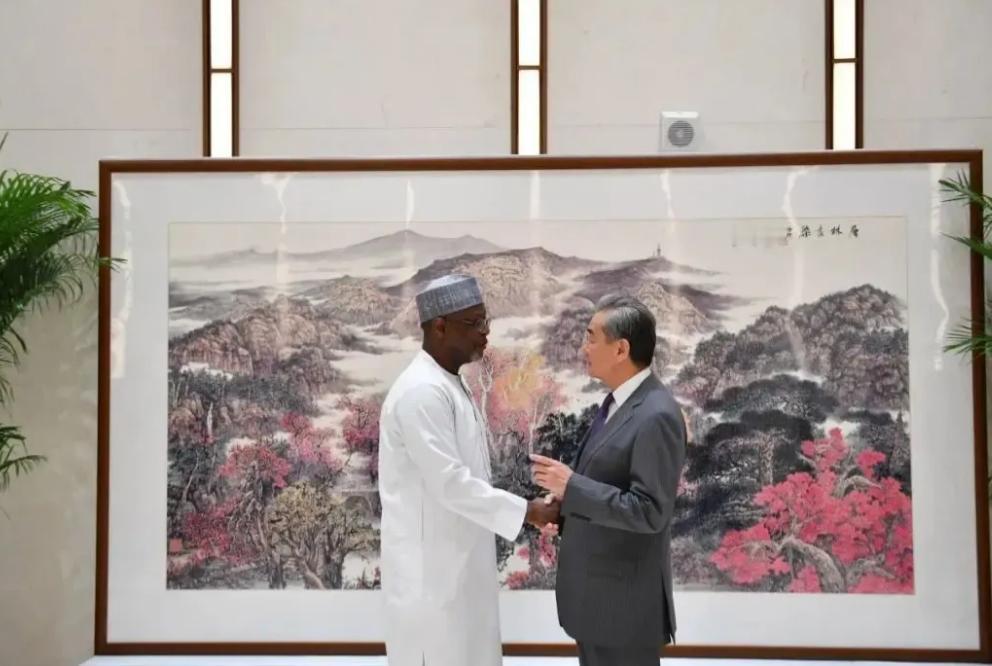 驱逐中国工人的尼日尔终于后悔，尼日尔外长紧急访华求原谅，早知如此，何必当初呢？