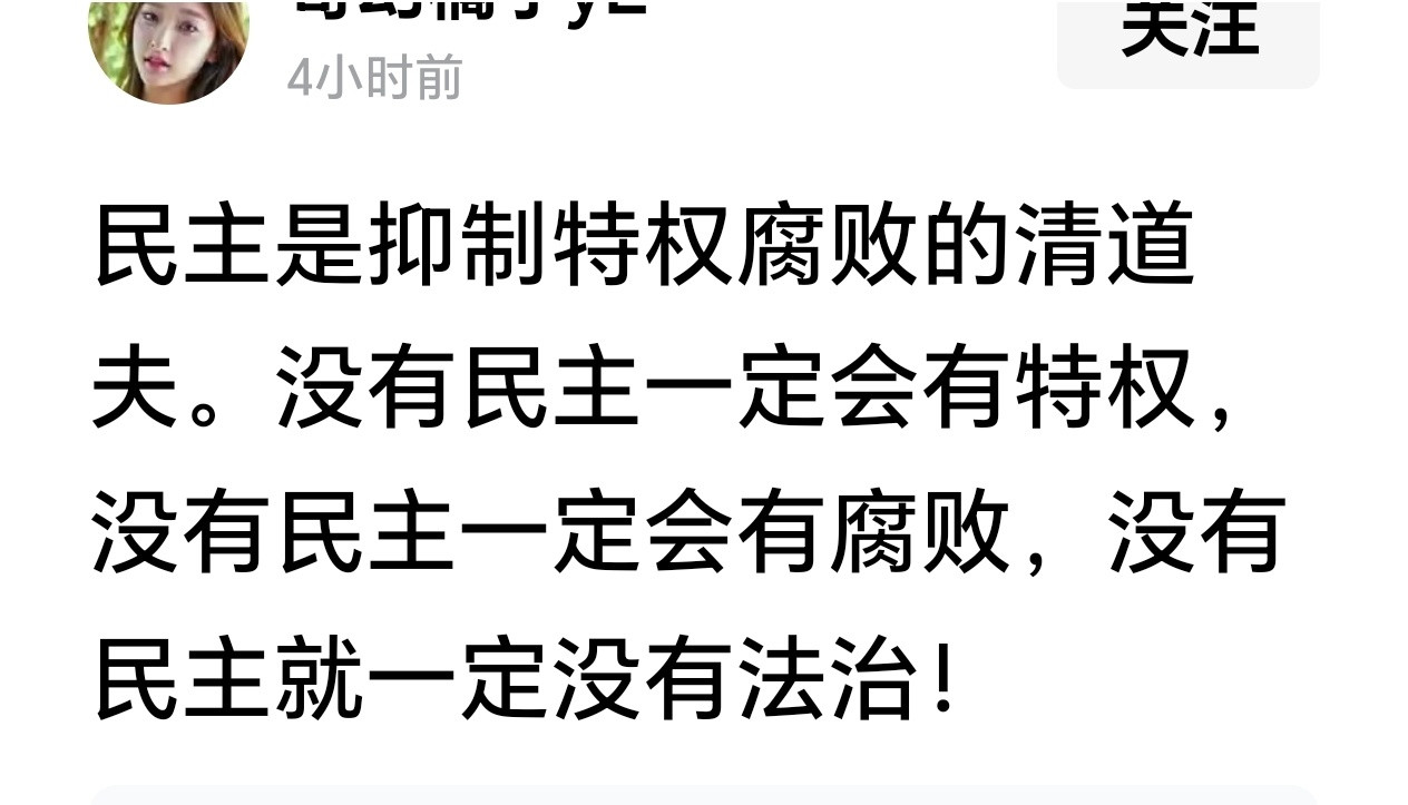 解释一下，最最民主的美国怎么会有萝莉岛，会采购天价螺丝呢？