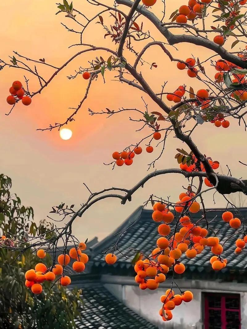 冬至一过就是寒冬了，年纪大的老人要注意保护好身体。①，要少洗澡，最好十五天一次，