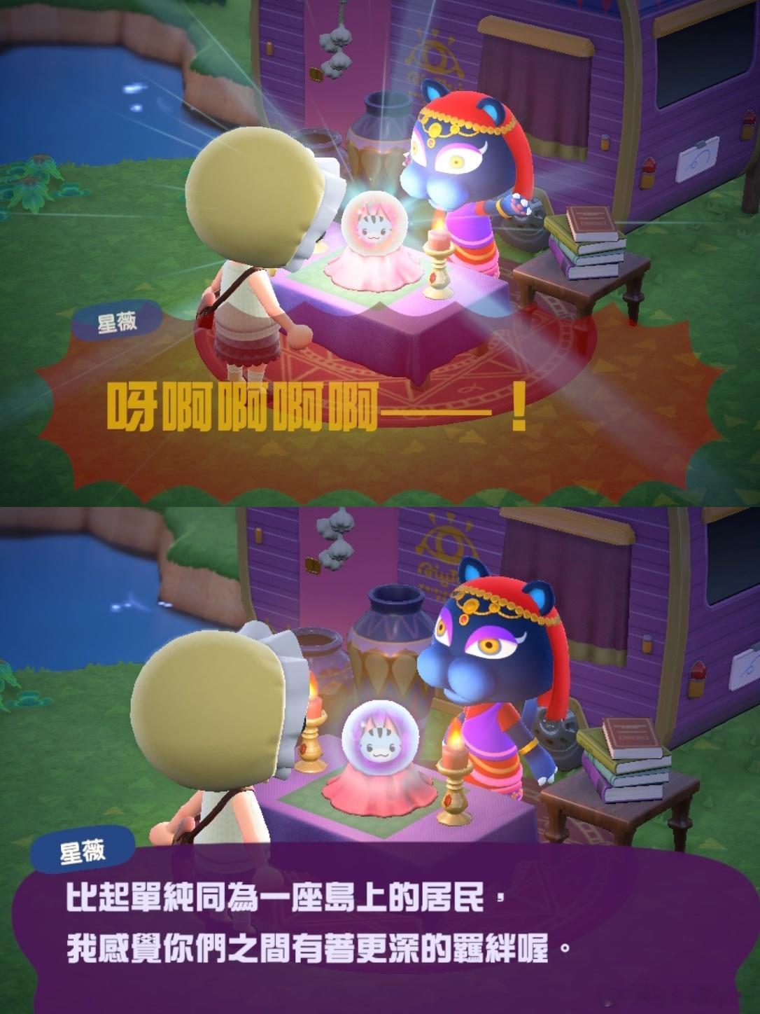 微笑唇小灰猫，如果你想离开小岛去外面的世界，我会同意的，不能只在回忆里睹物思人