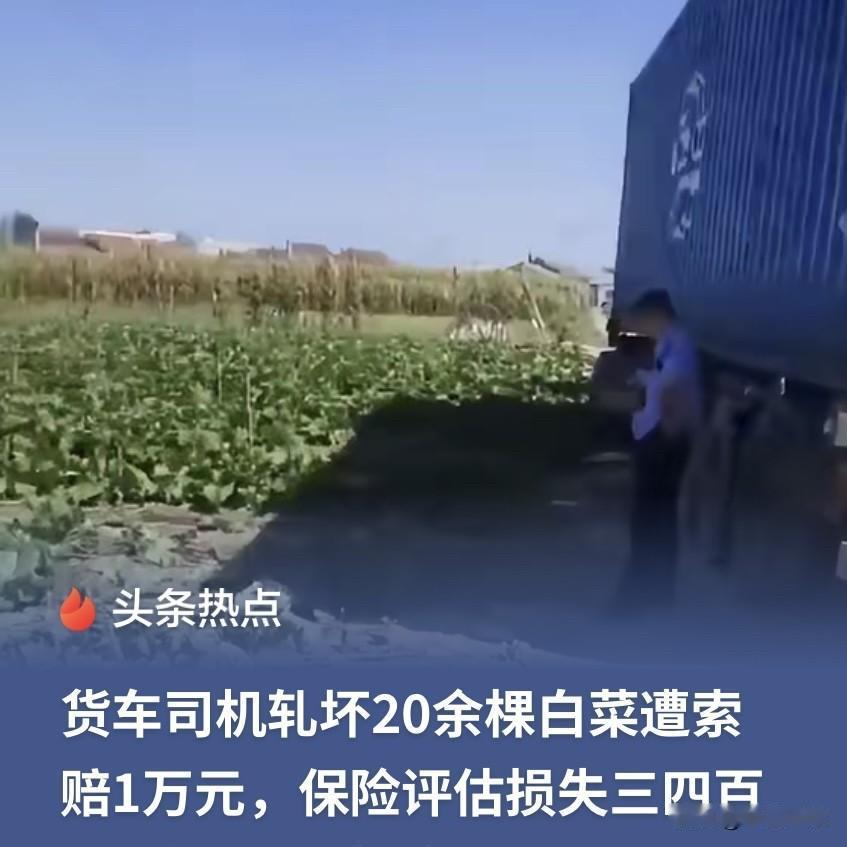 辽宁，一货车司机倒车时，不小心压坏农户20多棵白菜，对方开口就让他赔5000。司