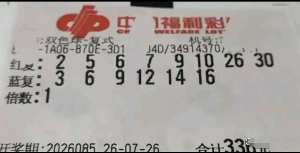 咖啡小姐姐依旧保持稳定节奏，每期投入336元不曾变动，唯一改变的，是每一期全新的