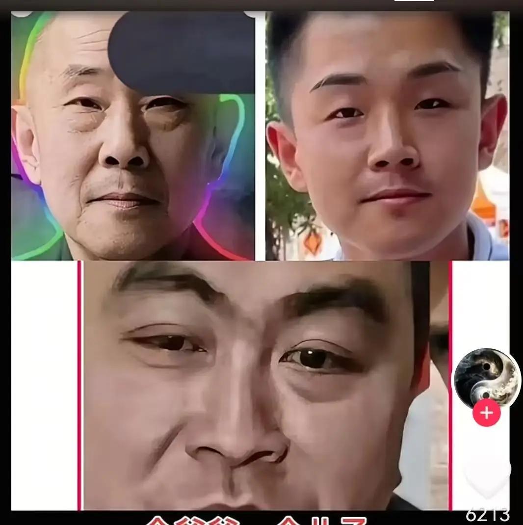 最后一搏！老金毛为儿子上诉。这是法律赋予的权利。谁都能理解。做父亲的