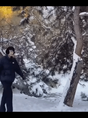 果然电视里演的都是骗人的