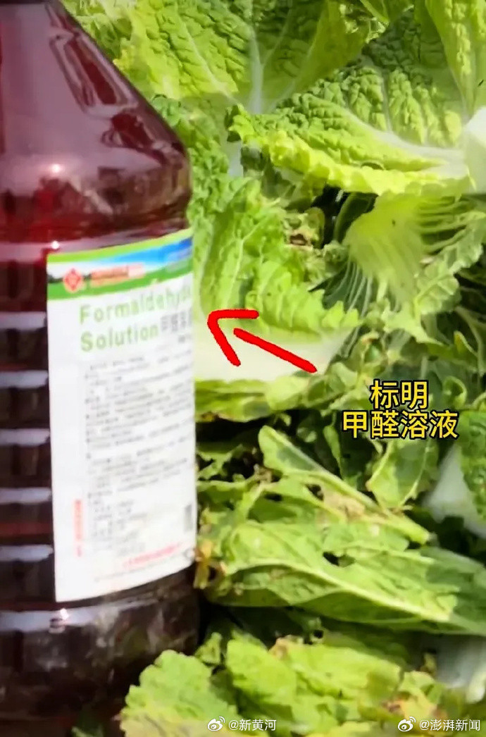 #必须彻查多少甲醛白菜已流入市场#【马上评｜#有多少甲醛白菜流入了市场#？】#白