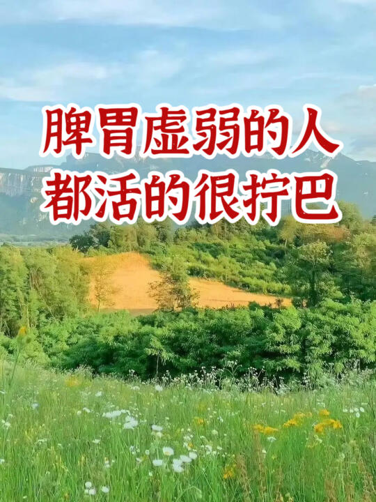 中医｜养好脾胃得先学会跟自己和解