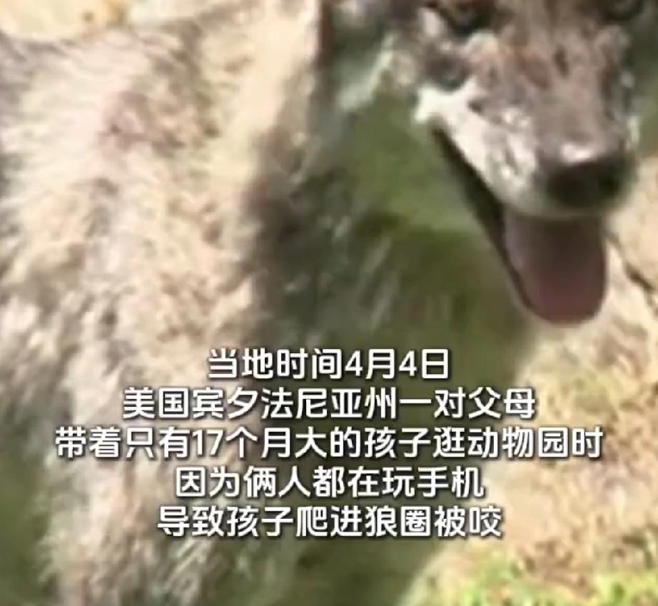 4月4日，美国宾夕法尼亚州。61岁男子和43岁的妻子，带着不到1岁半的宝宝去逛动