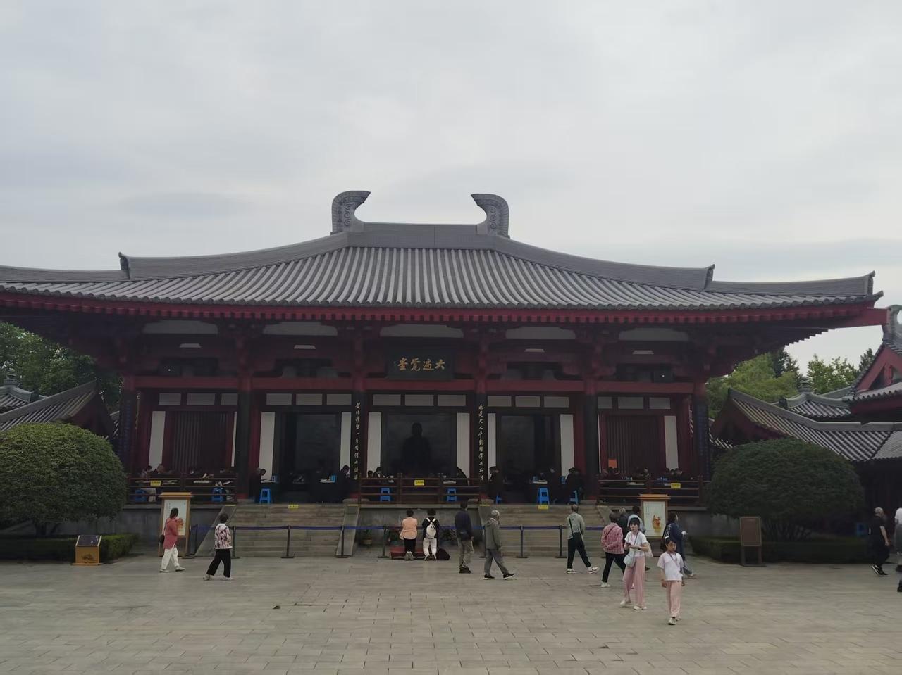 脚盆鸡:姓龙的，你给我出来说清楚。东方龙:干啥？