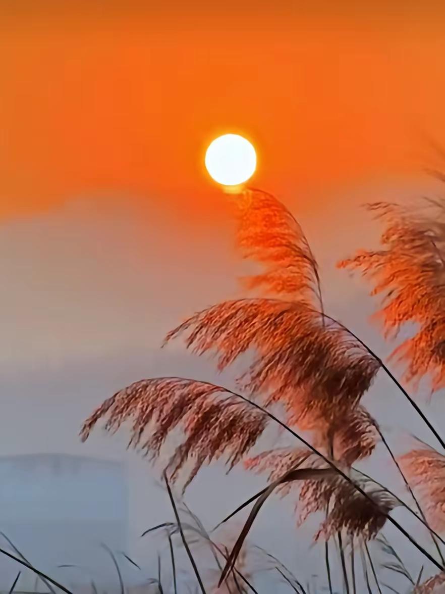 焦虑的人如果心里总烦躁千万不要硬逼着自己平静越强迫不想，念头越汹