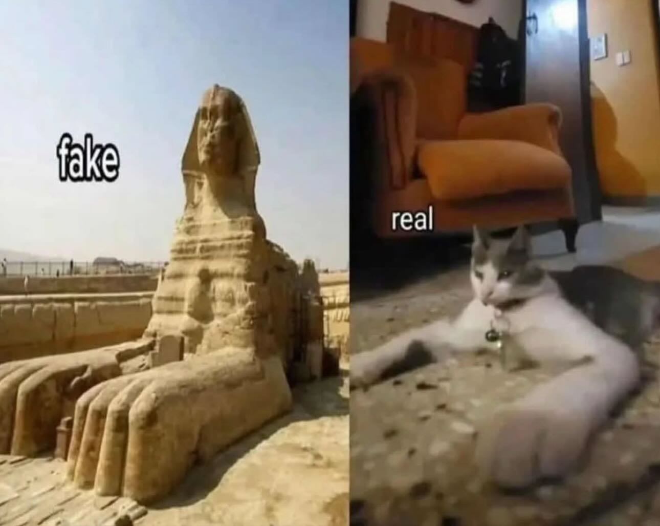 真假对比meme​​​