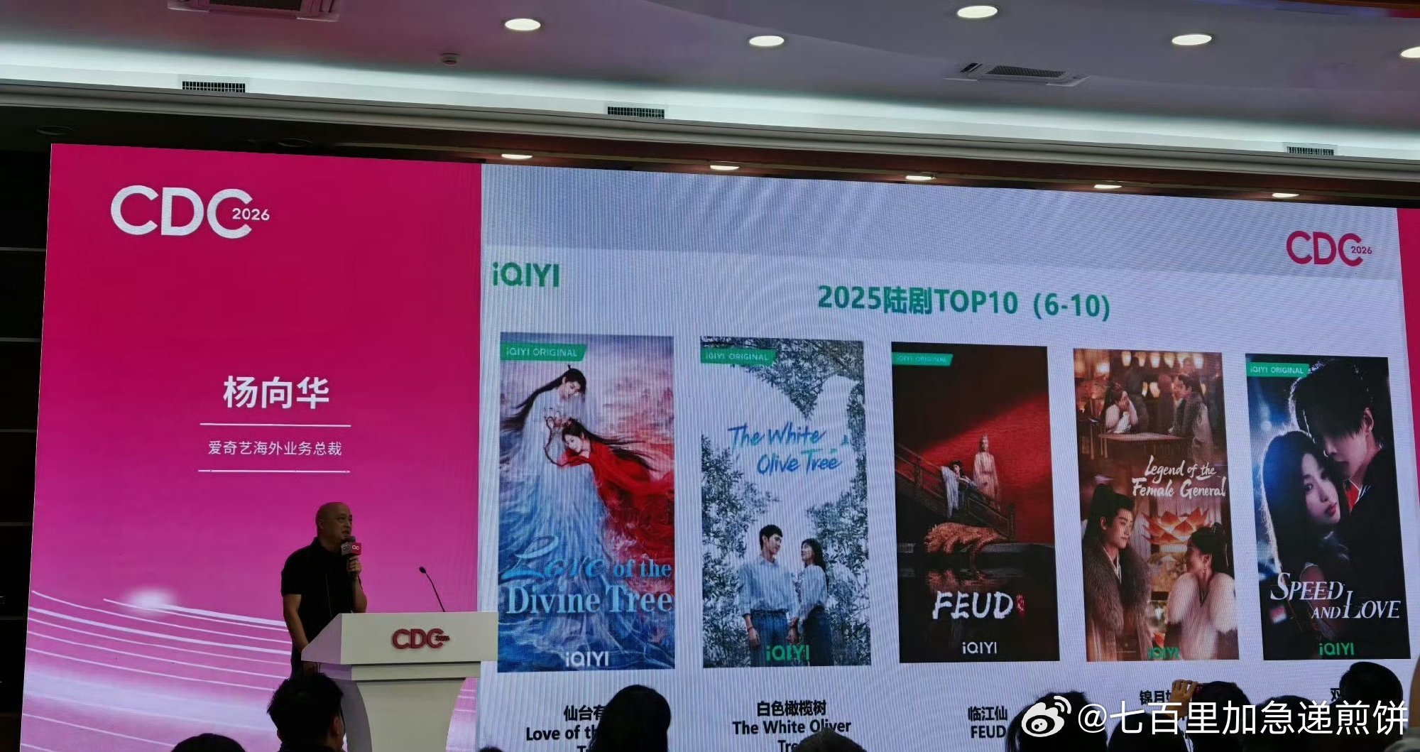 爱奇艺2025年海外播放前十的剧集：张凌赫、徐若晗《爱你》白鹿、敖瑞鹏《白月梵星