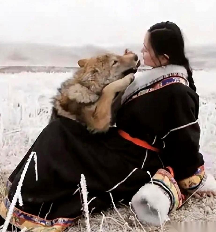 成都那个养狼的姑娘李微漪，最狠的不是把狼崽子养大放归草原。是她把狼崽子格林，藏