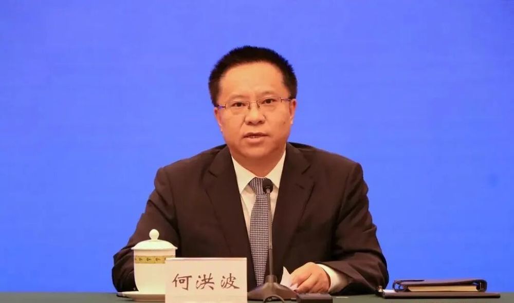 市委副书记何洪波, 转岗副厅长3个月被查