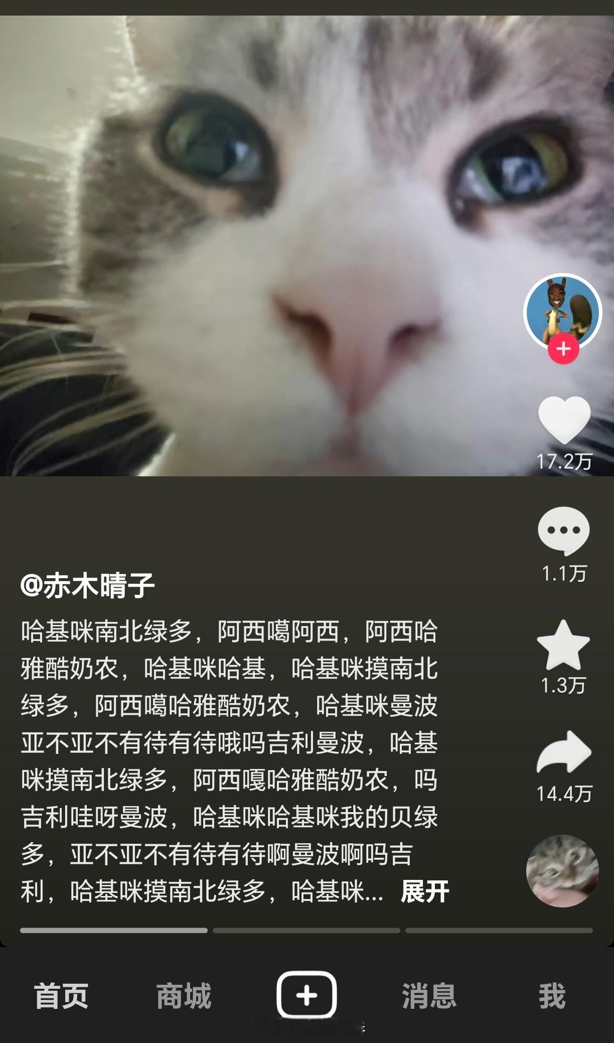 有人能把这个歌词背下来吗？[思考]​​​