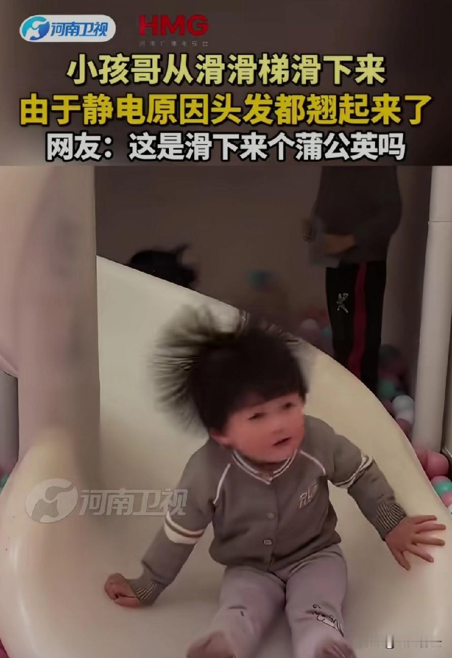 这造型！萌死我了！