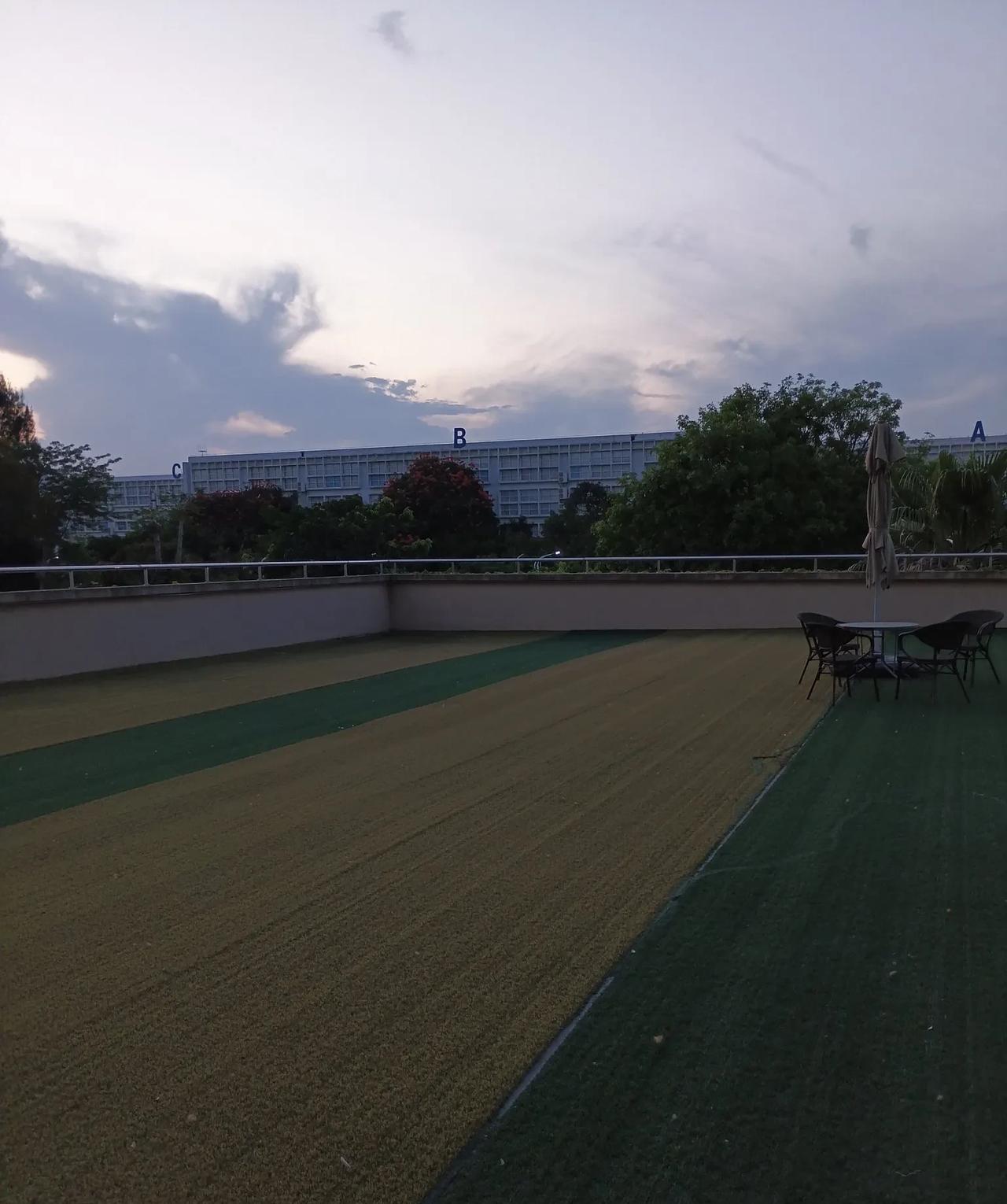 内心无事生非的三大生肖说内心无事生非的生肖，有人觉得是羊，可我不这么看。羊多温