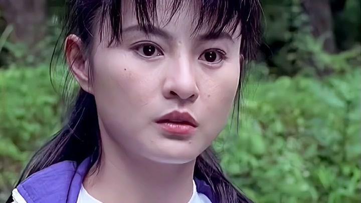 最美的霸王花:李美凤和胡慧中，两个人都是相当的漂亮，而且身手很好，打戏非常的漂亮