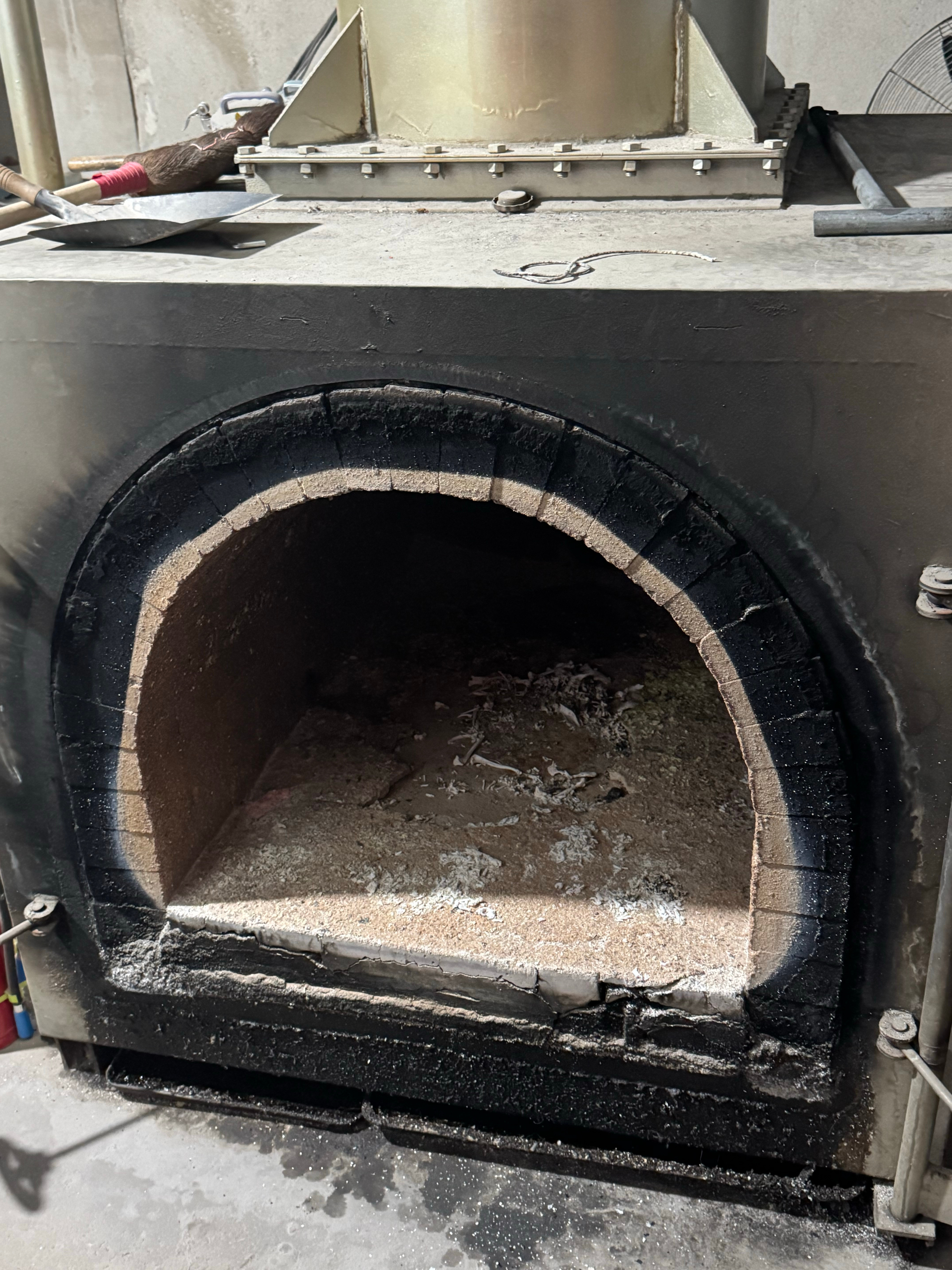 人生第一次面临生离死别竟然是我的狗子，16岁了，辛苦了主宝，你是天底下最好的宝宝