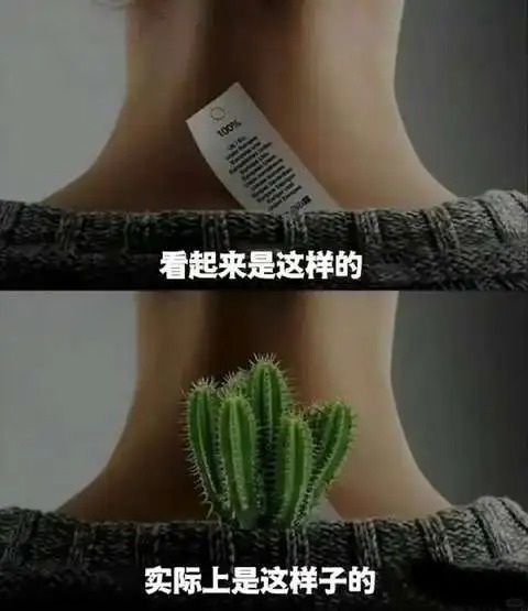 就……挺真实的