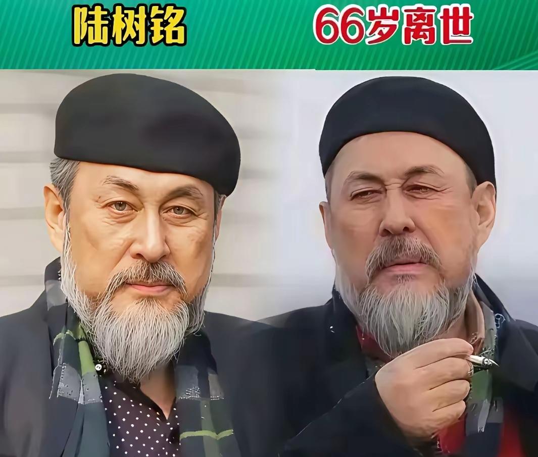 原来这么多实力派都是山东人！早就知道倪萍是山东的，没想到大宋佳也是，越上年纪越有