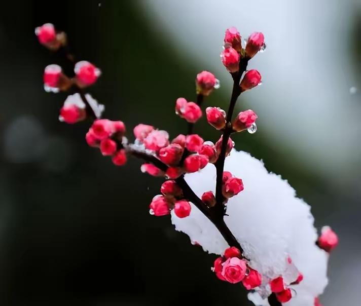 女孩十八九青春期时，热衷于变换发型，一天能换好几种。高二时，我也赶时髦，留了几