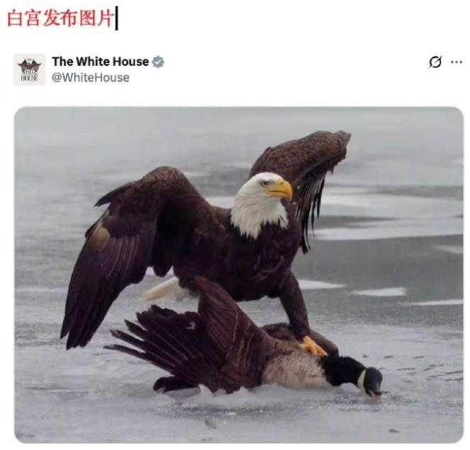 太搞笑了！美国与加拿大陷入了一场神奇的“图片大战”。 起因是白宫周三主动挑衅