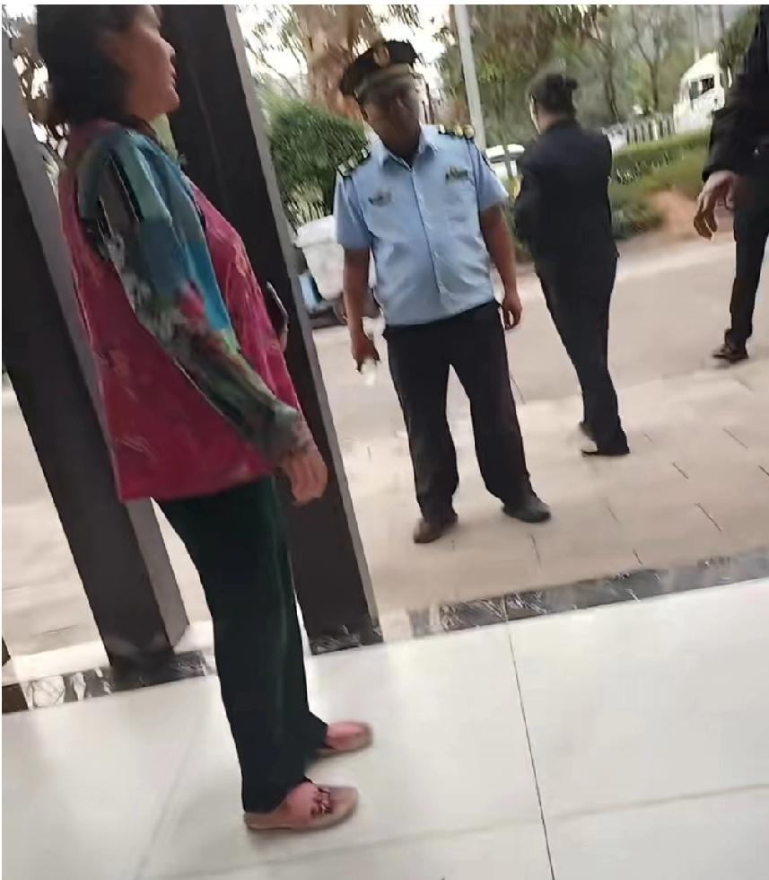 3月29日，云南普洱。这位自称大学老师的房车女车主在公共厕所洗菜接水时忽然停水，