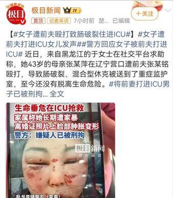 前夫把前妻打进了ICU，这完全就是刑事责任了。这位前夫哥必然要以故意伤害被提起刑