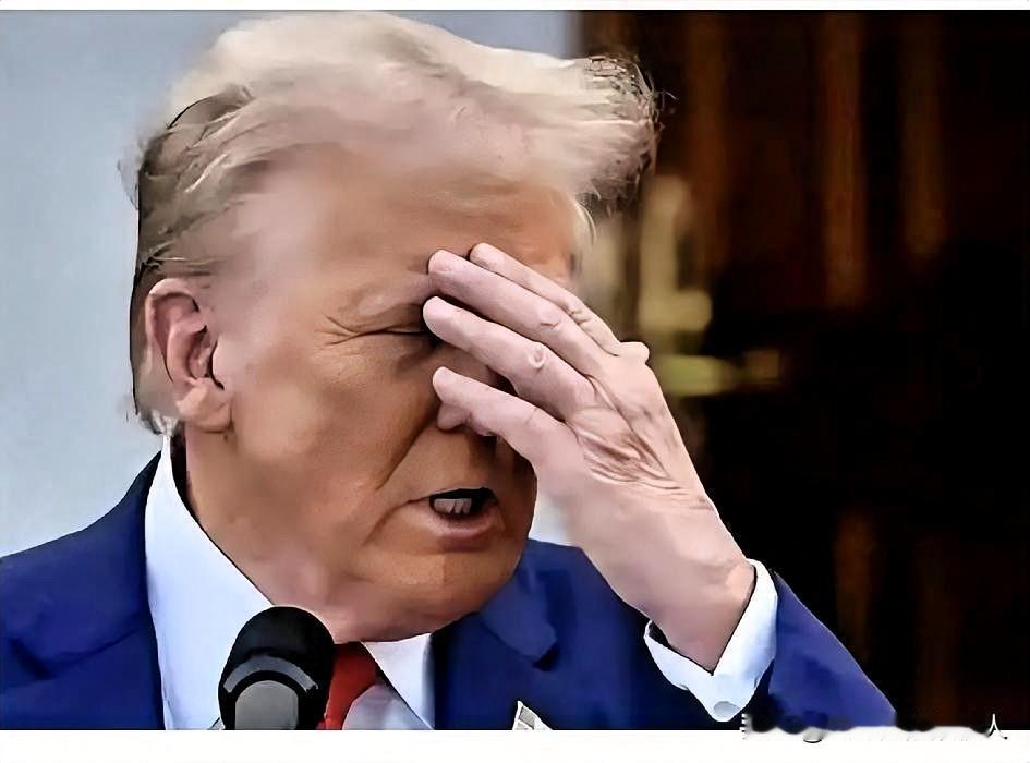 就在刚刚！美国正式宣布了？2025年11月4日，美国联邦政府正式宣布其“停