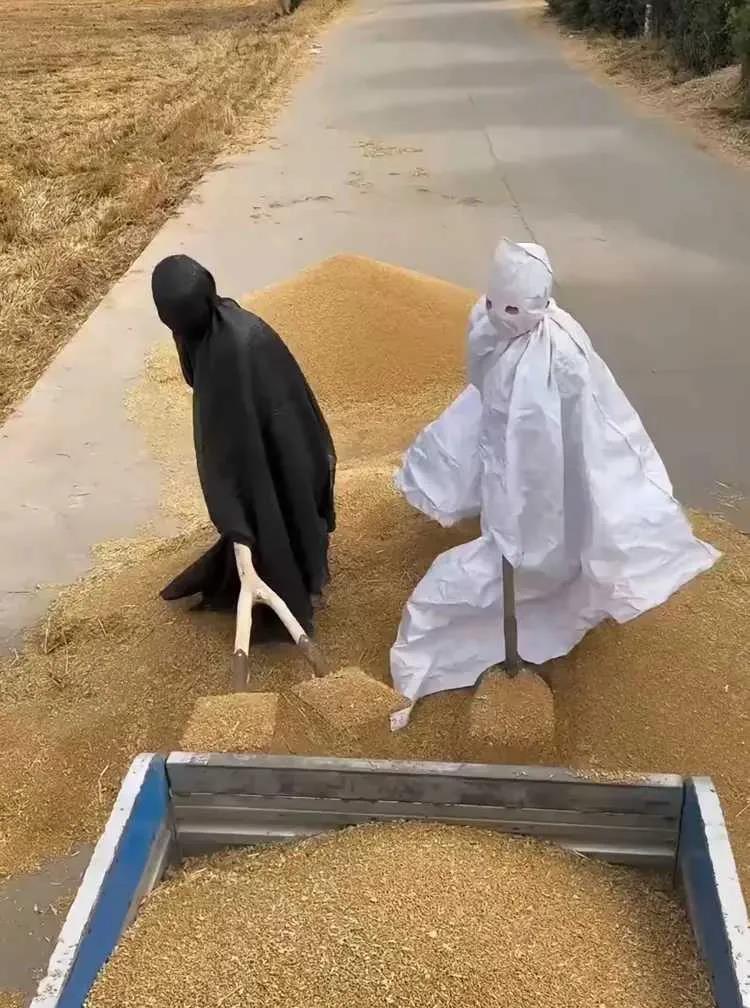 你俩也搞上兼职了。下面是有多难混啊！