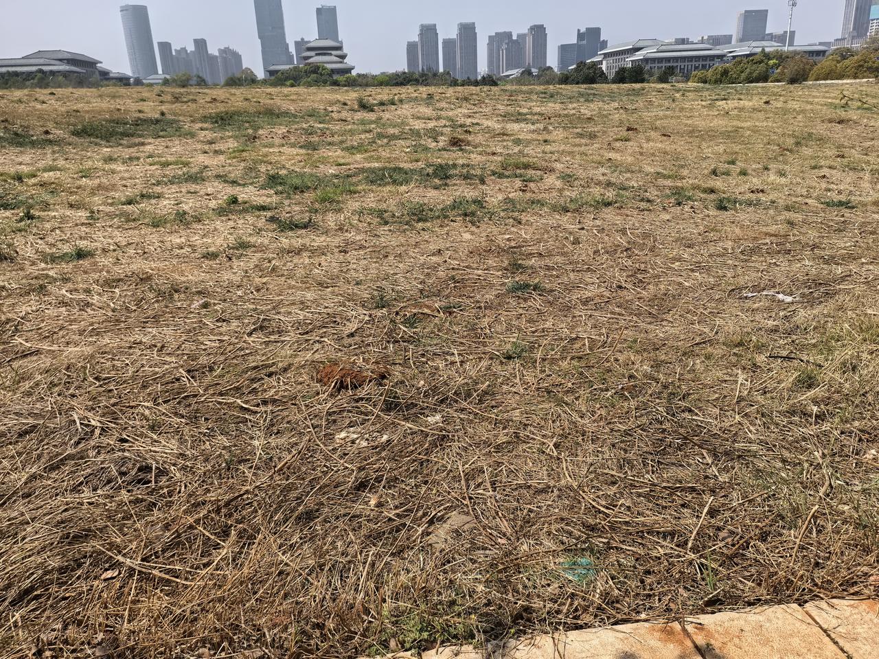 在昆明呈贡区这边的核心位置，吴家营街道内，地铁1号线清风站B口出来这里。好大一片