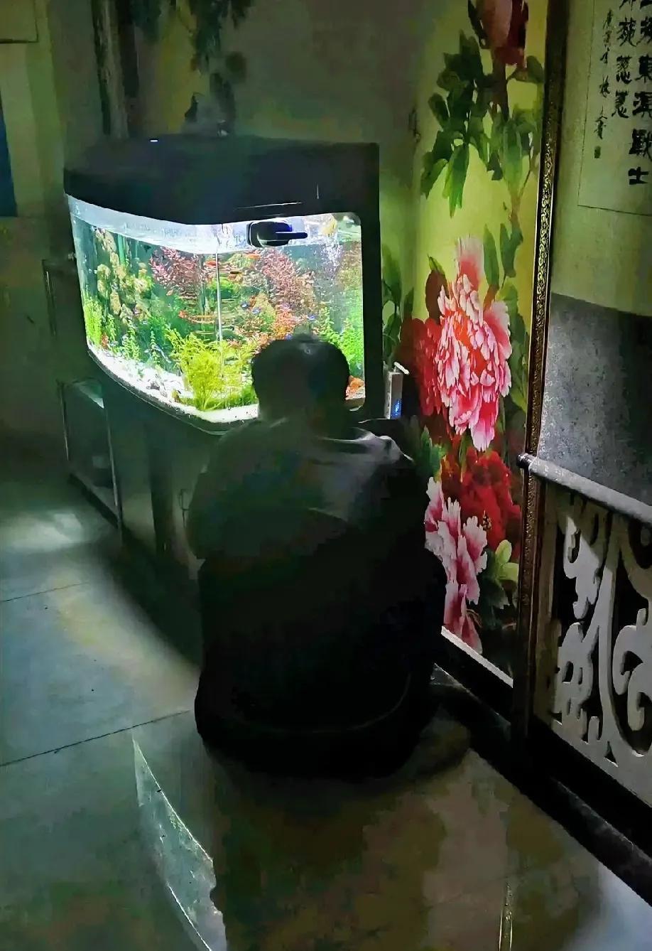 半夜起来上厕所，看见岳父穿个厚外套，蹲在鱼缸前看鱼。我知道，他现在对我，甚至对