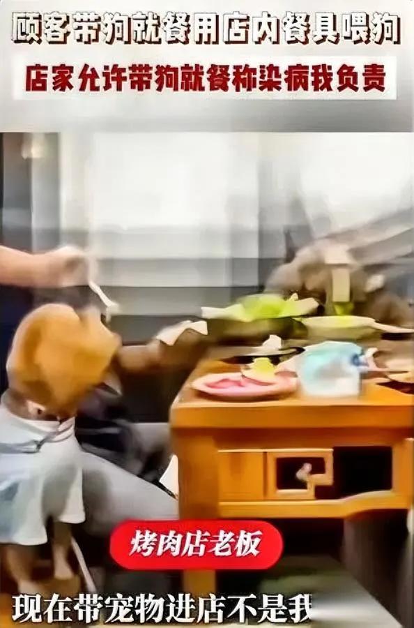 带狗进店吃饭老板太刚了你绝对想不到他放出的话有多狠。马鞍山这家烤肉店