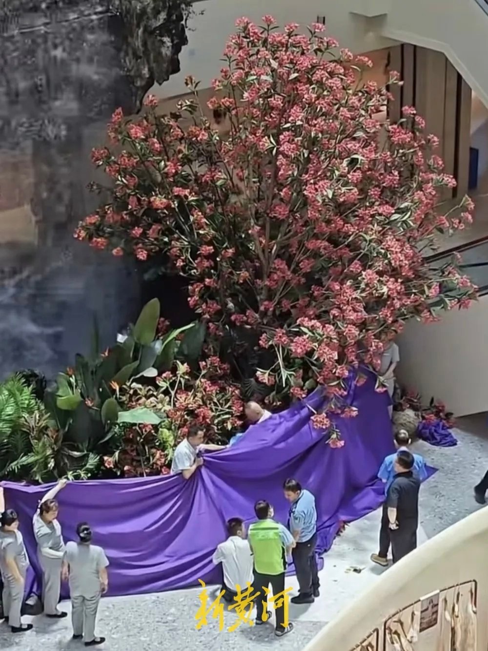 从“天价罚单”到“强制撤柜”，最终演变成一条鲜活生命的消逝，西安赛格坠楼事件用最
