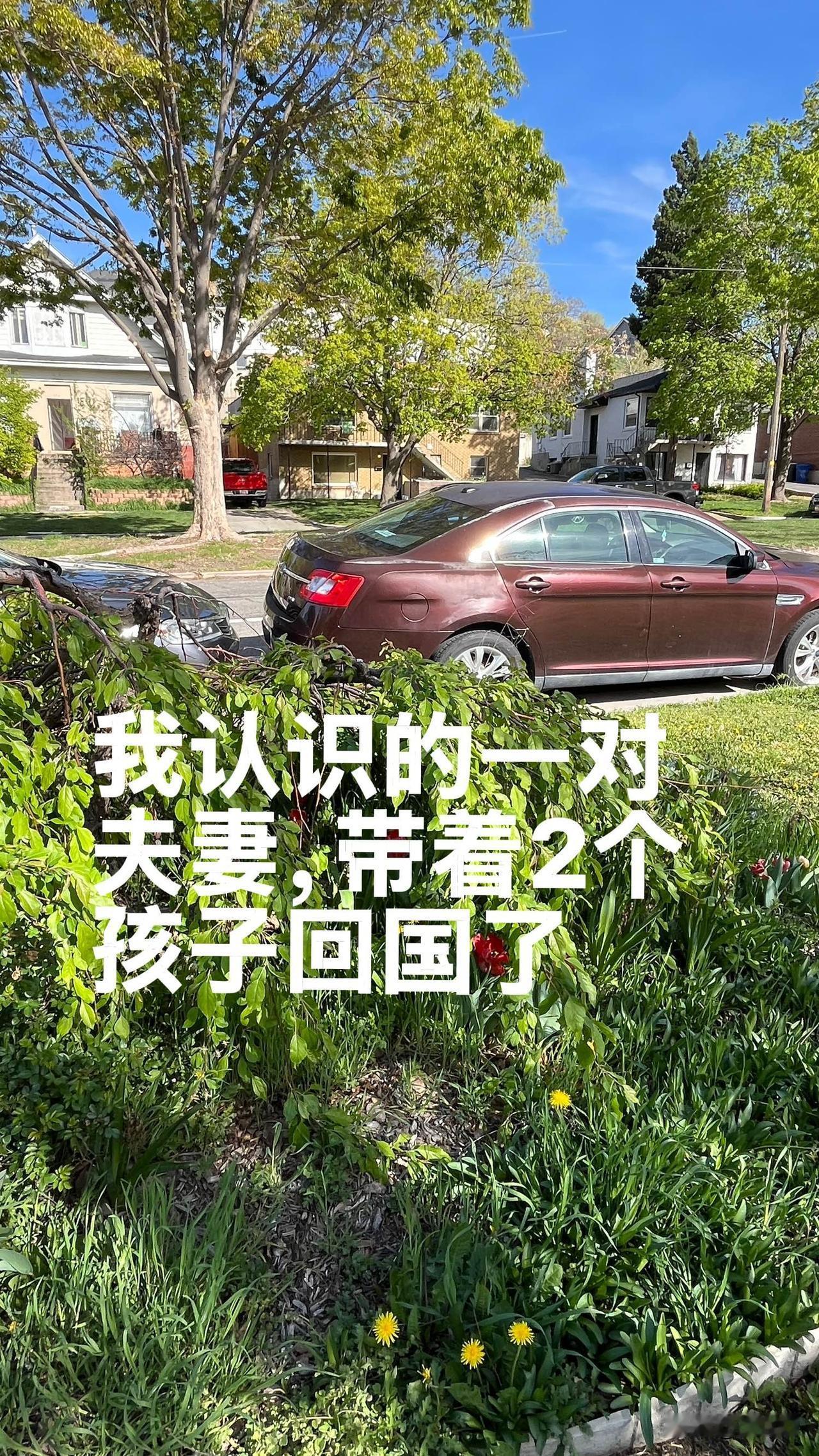 我认识一对夫妻，在美国打拼了六七年。两个孩子也生了，一家四口，日子本来过得还