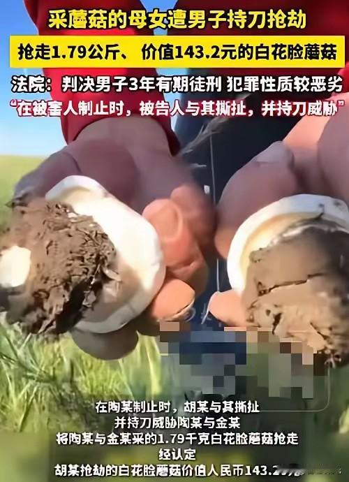 “脸都不要了！”内蒙古一对母女在草场捡蘑菇，一男子骑摩托路过时，趁母女俩不注意，