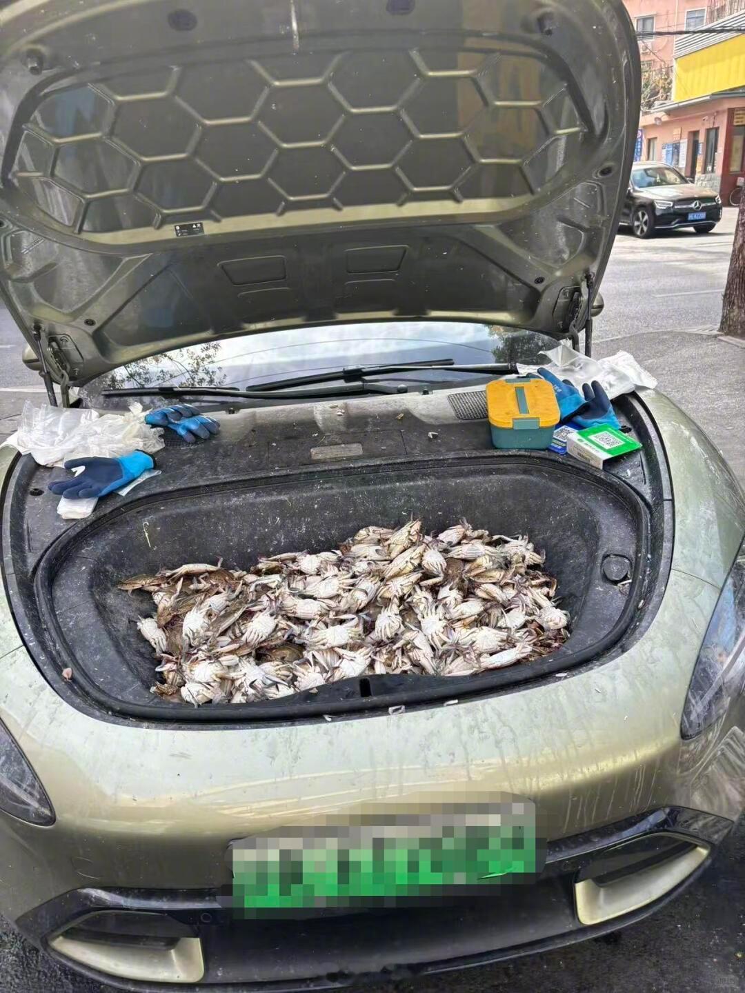 车主是个狠人啊