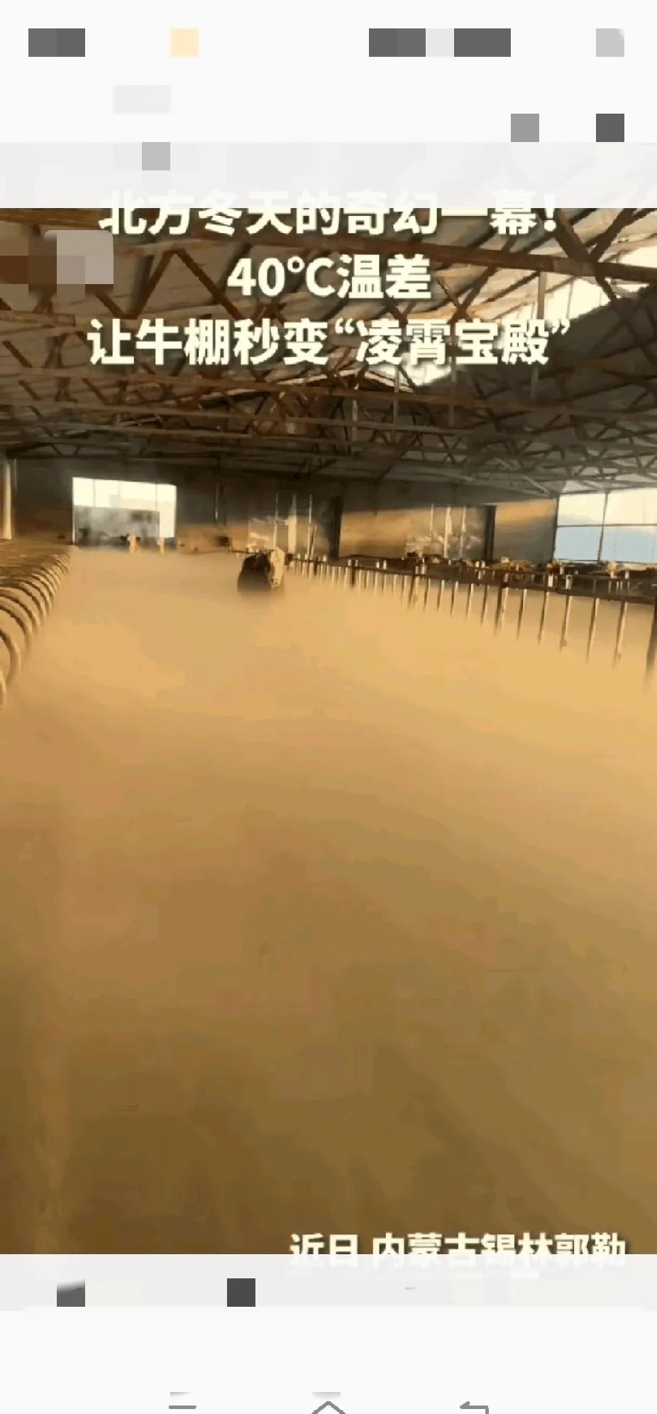 没想到上人民日报了！内蒙古，女子清早起来去牛棚喂牛，不料一推开门直接傻眼了，棚子