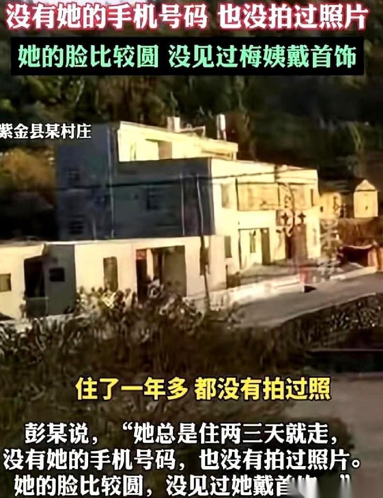 看到梅姨男朋友那段话，我后背的汗毛“唰”一下就立起来了。梅姨有很多让人觉