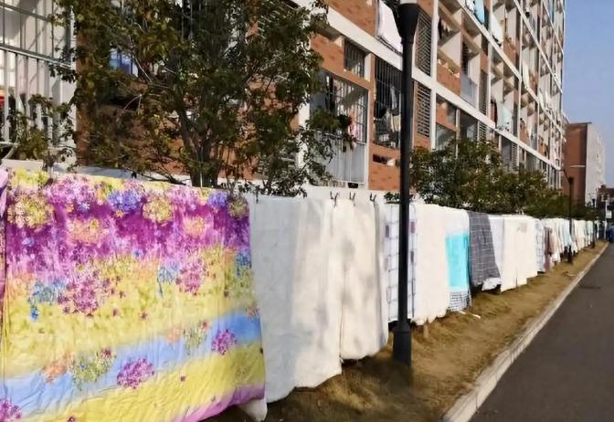 为什么中国人要晒被子，而外国人从来不晒？留学生说出实情我们平时基本家家户户都