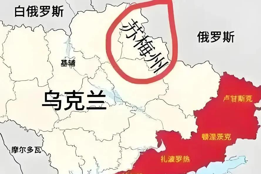 后悔不已！现在秋千乌军被包围在库尔斯克，而且俄军还向苏梅州积极增兵，准备从另一