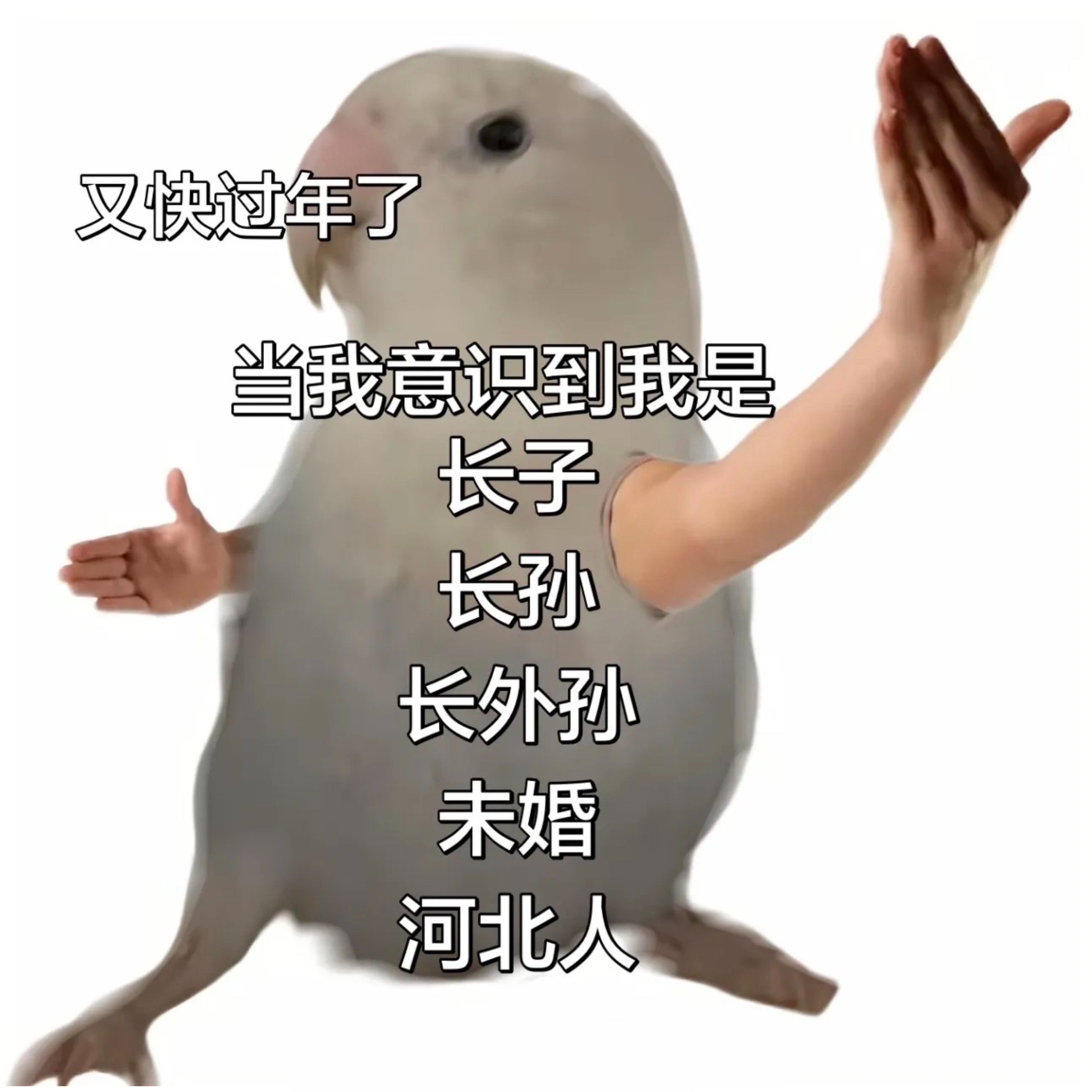 迎接大考memes