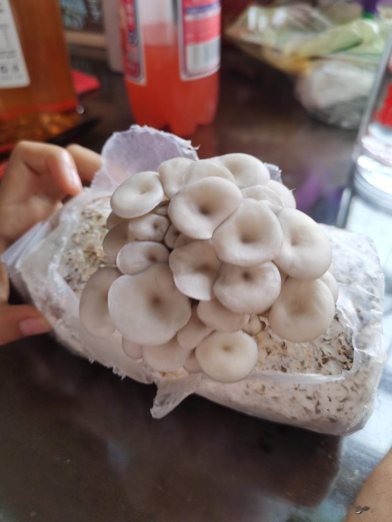 一段很通透的话：“做人千万不要提前恐惧，也不要提前焦虑，你能解决的事，你急什么？