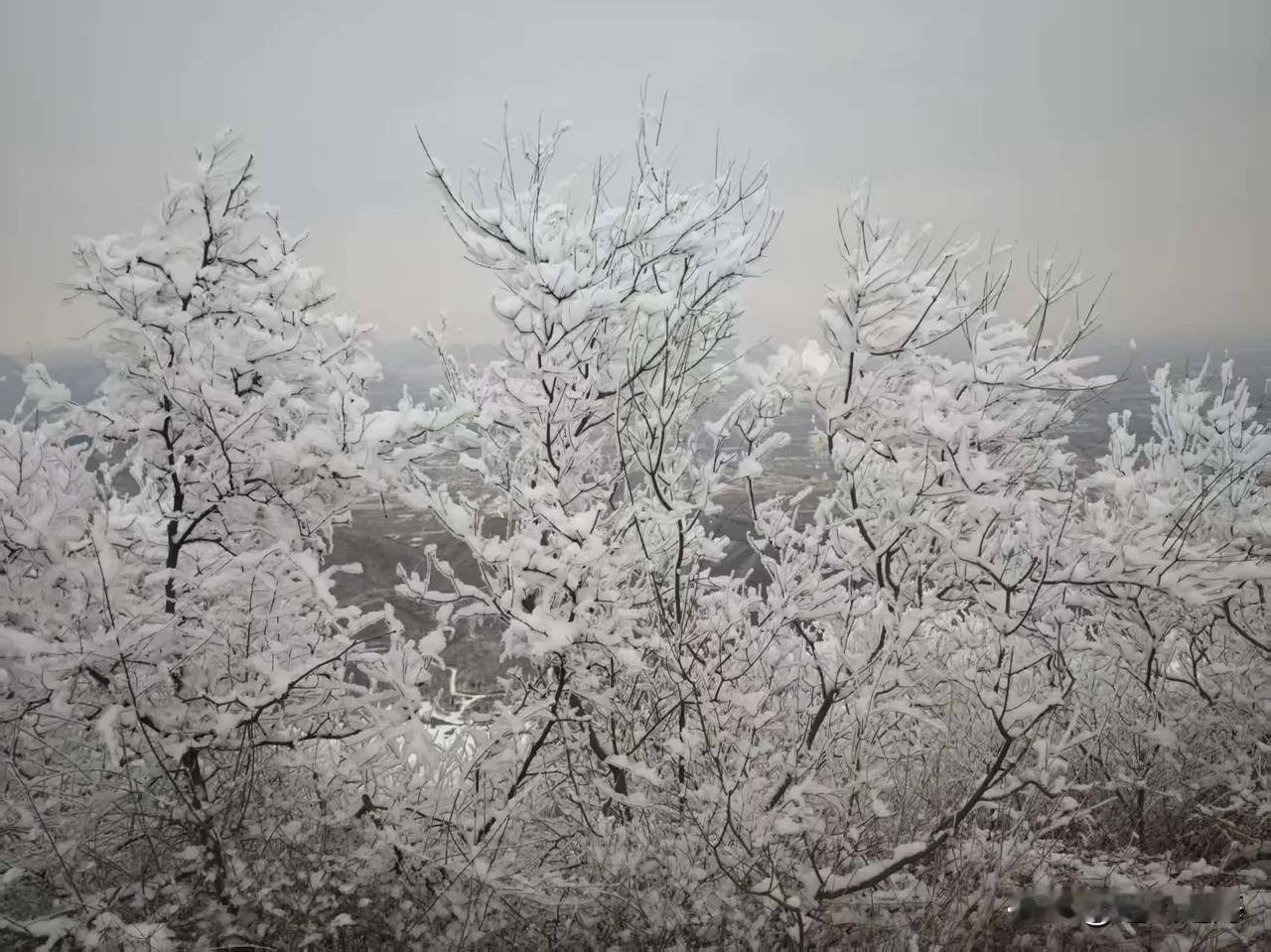 股神没有一个善终，多死于贪婪，死于人性，陈小群也一样。一个将抖音清空网红，可以肯