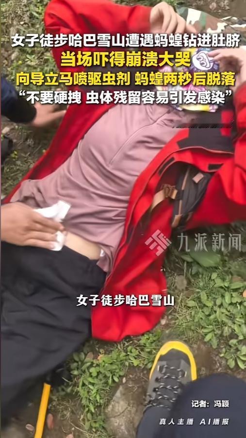 “太吓人了！”6月19日，云南，一女子跟随队伍徒步，山高林密雨季潮湿，有只两三厘